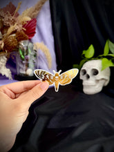 Load image into Gallery viewer, Death Moth Gold Foil Sticker