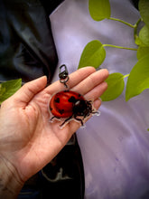 Load image into Gallery viewer, Lady Love Bug Acrylic Charm