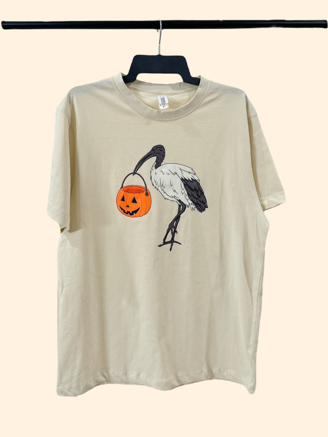 Trick or Treat Bin Chicken T-Shirt